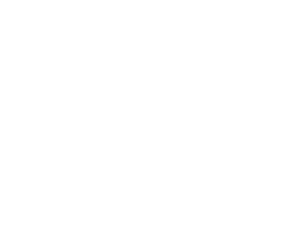 Licores vodka cane