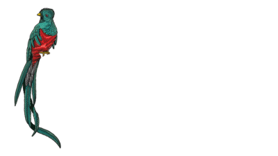 BOTRAN-PURE-CANE-GUATEMALAN-RUM_LOGO-08